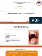 Anatomia y Fisiologia de La Cavidad Bucal