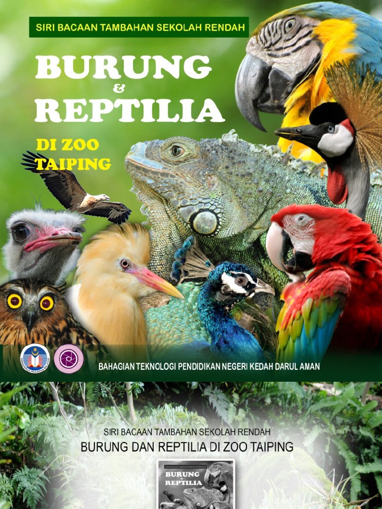 Buku Burung Dan Reptilia