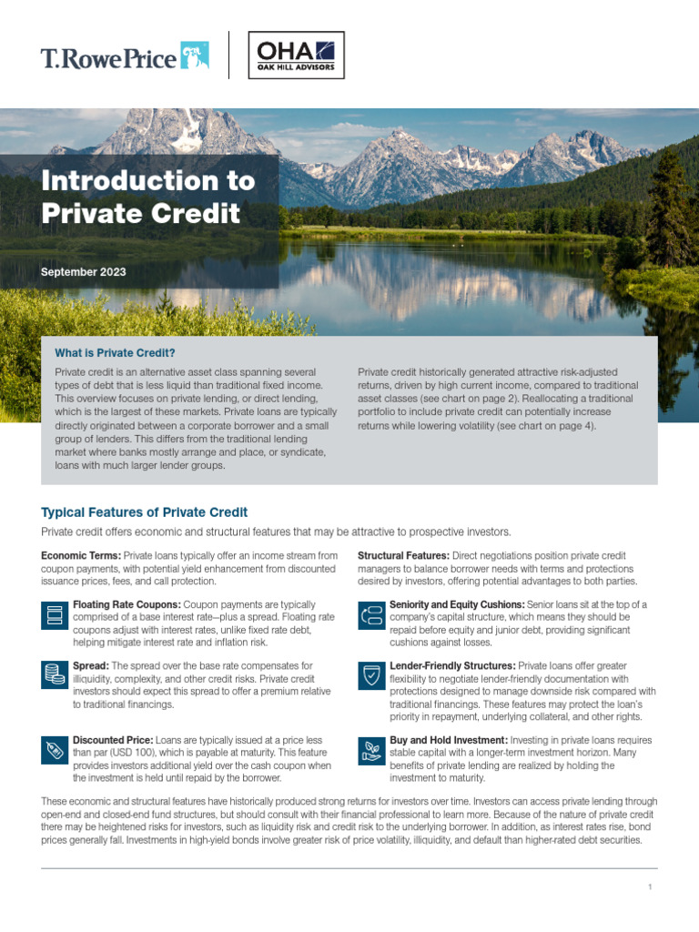 Intro To Private Credit White Paper | PDF | Loans | Finance & Money ...
