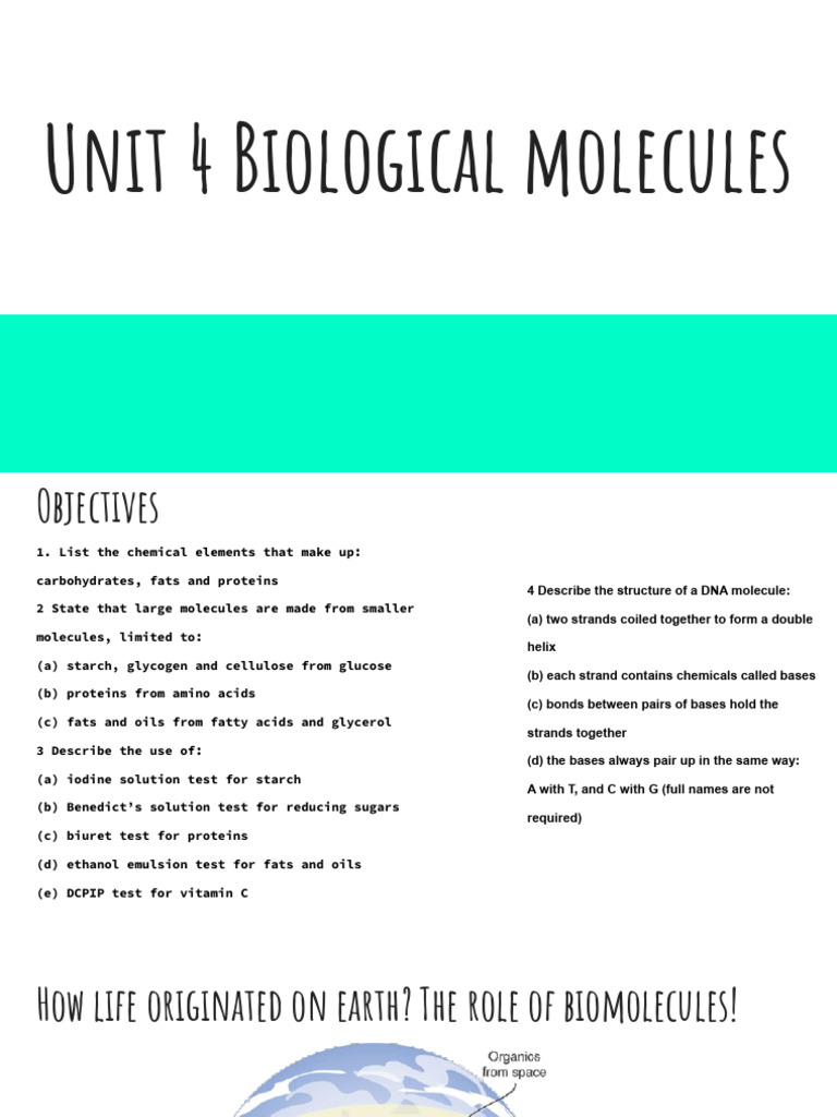 Understanding Biological Molecules | PDF | Carbohydrates | Biomolecules