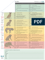 BEAP Pain Scale For Dogs