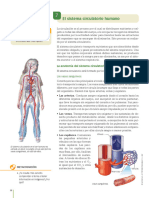 Sistema Cardiovascular 5to