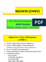 T05 CHIKUNGUNYA (CHIKV)