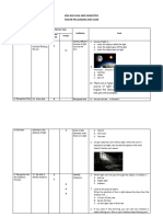 Kisi-Kisi Science Mid Test Sem 1