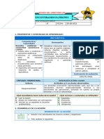 SESIÓN DE APRENDIZAJE - Patrones