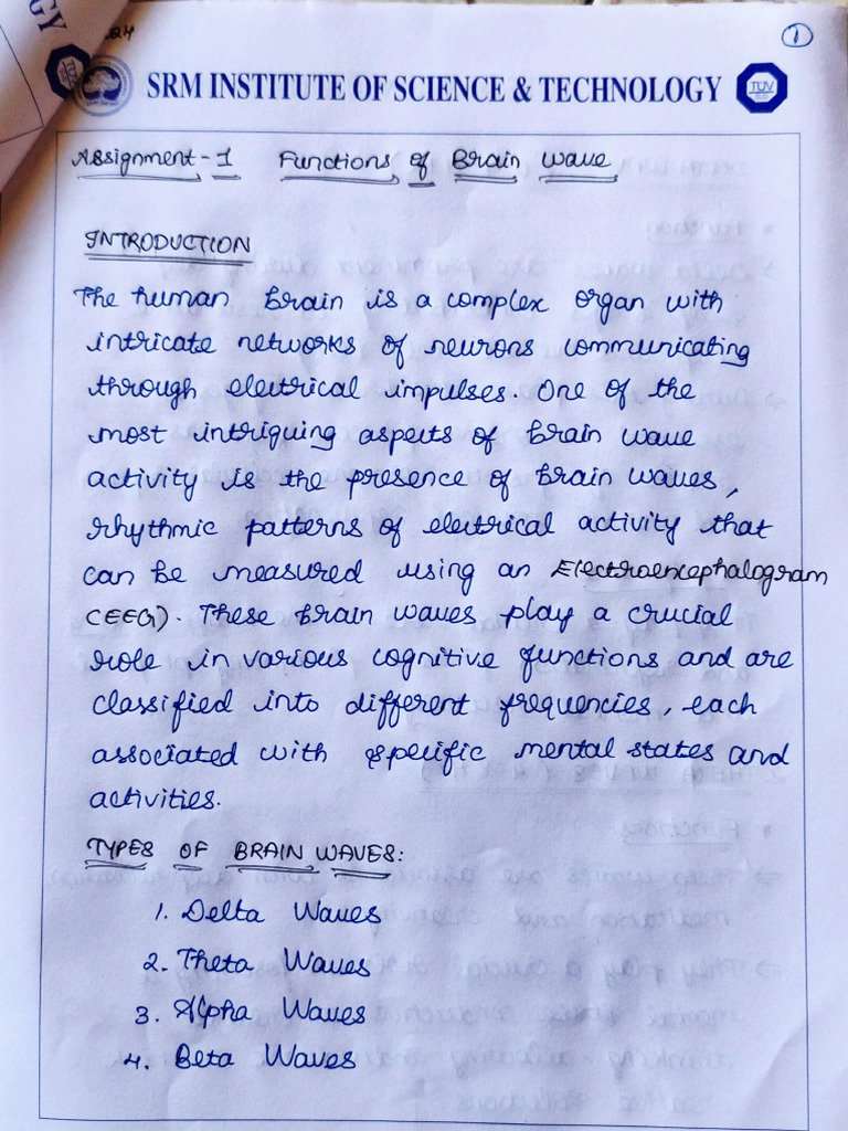 Biomedical Engineering Assignment 1 | PDF