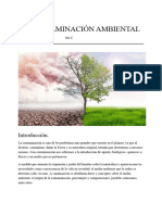 Contaminación Ambiental - PDF