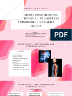 SINDROME DEL CONO MEDULAR, DE SECCION MEDULAR COMPLETA y SINDROME DE LA CAU - 20240416 - 081434 - 0000