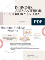 Síndromes medulares anterior, posterior y lateral