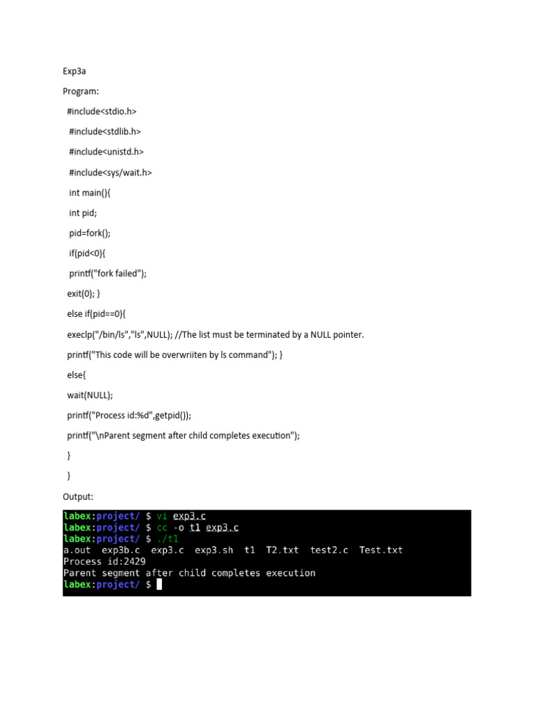 C Program for Fork and Exec Example | PDF