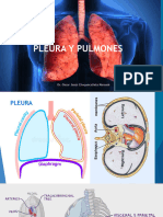 Pleura y Pulmones