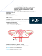 Ciclo sexual femenino 1 pfh