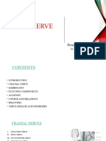 Facial Nerve 2