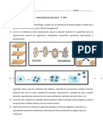 Evaluacion Integral 2do Año