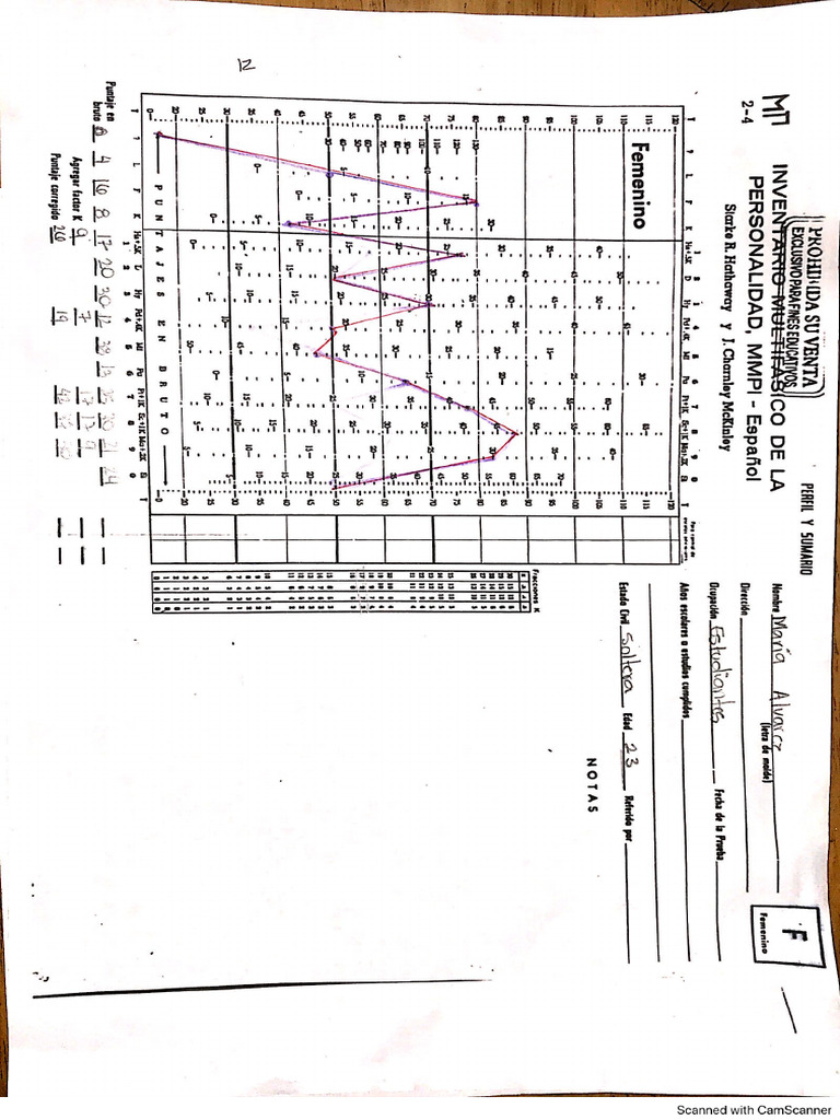 Test Mmpi | PDF
