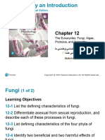 CH 12 The Eukaryotes Fungi, Protozoa, Helminths Summer Sem 2022