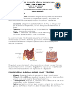 Tema 27