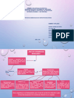 Mapa Conceptual Gerencias