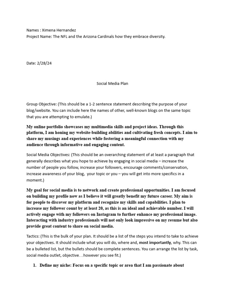 social-media-plan-final-pdf-social-media-popular-culture-media