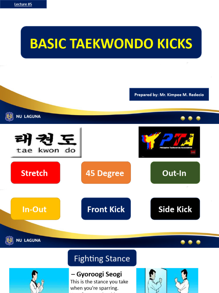 Basic Taekwondo Kicks Guide | PDF