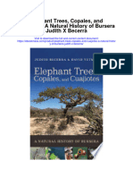 Download Elephant Trees Copales And Cuajiotes A Natural History Of Bursera Judith X Becerra full chapter