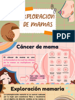 EXPLORACION_DE_MAMAS