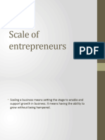 Scale of Entrepreneurs