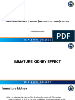 Immature Kidney Effects-postterm