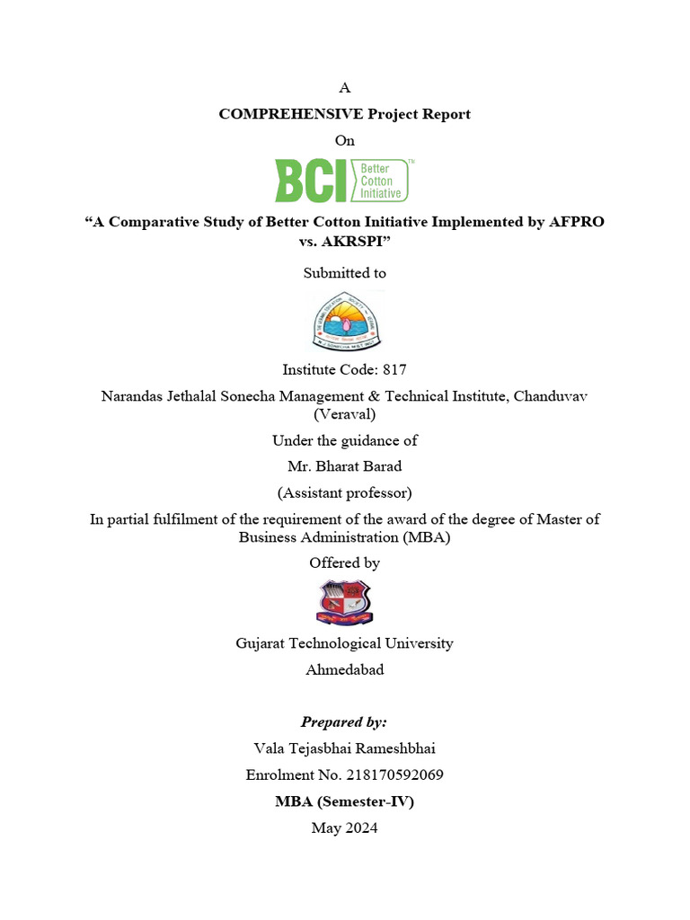 COMPREHENSIVE Project Report: Prepared by | PDF