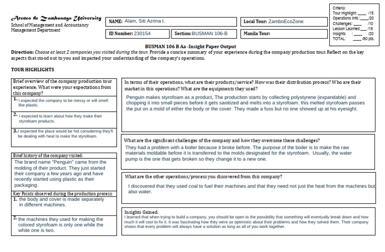 BUSMAN 106 Insight Paper 2 | PDF | Polystyrene