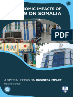 The Economic Impacts of Covid 19 On Somalia