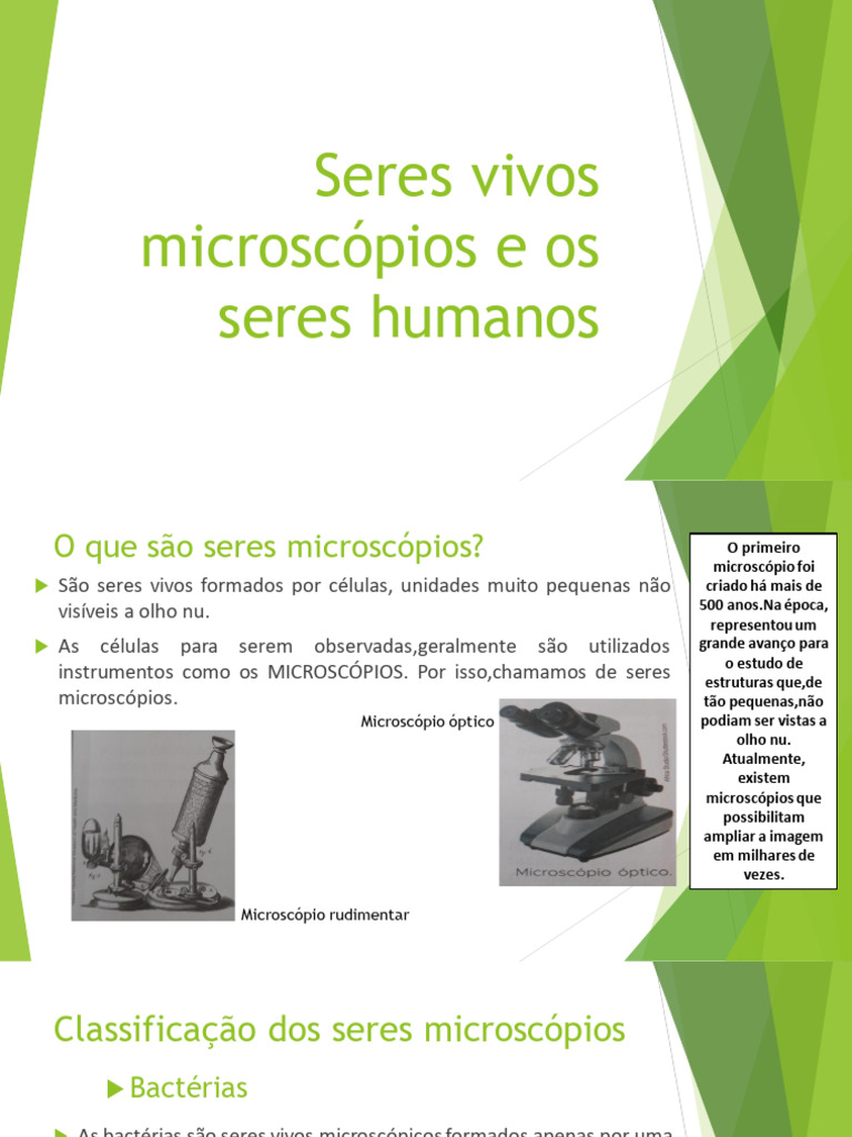 Seres Microscópicos: Bactérias, Fungos e Vírus | PDF | Fungo | Bactérias