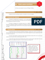 Resumo Tecnico Perfilagem