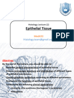 2- Epithelial Tissue 