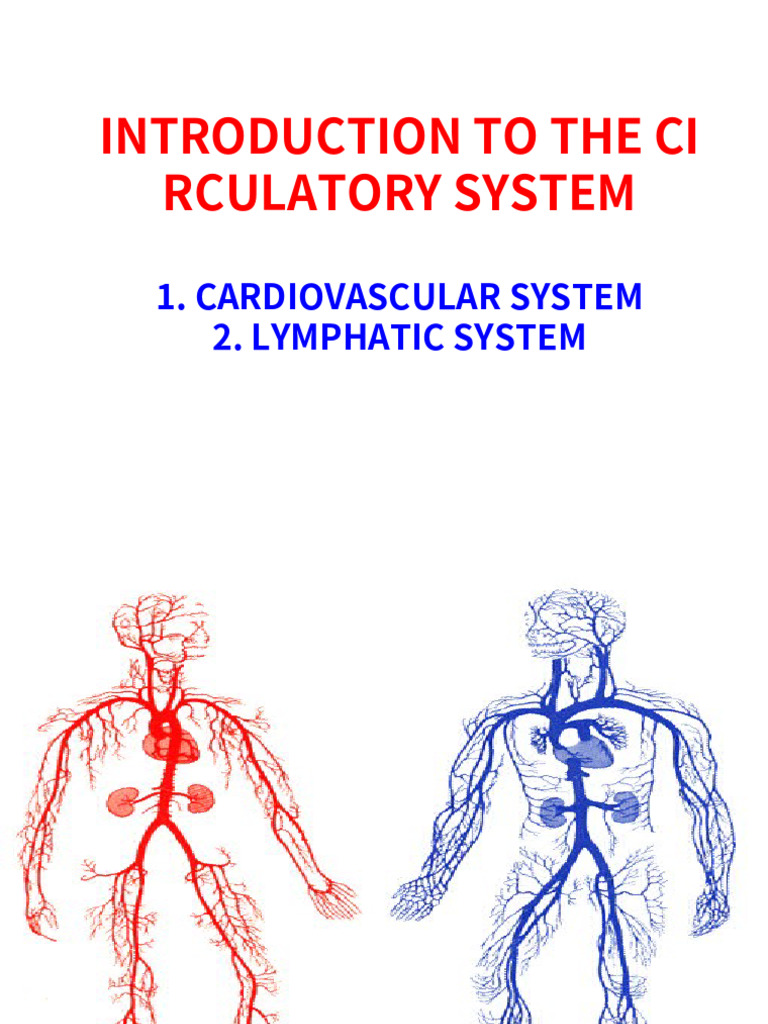 3 intro to cvs lymphatic system pdf heart valve atrium heart 