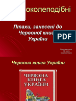 Міхайлов Павло 7-В