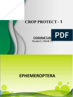 Crop Protect Ephemeroptera