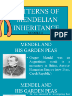 m4- Patterns of Mendelian Inheritance