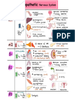 Sympathetic Pharmacology