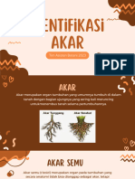 Identifikasi Akar