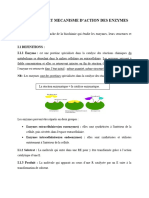 Enzymologie Partie 1