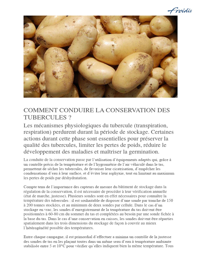 Conservation optimale des tubercules | PDF | Pomme de terre | Humidité