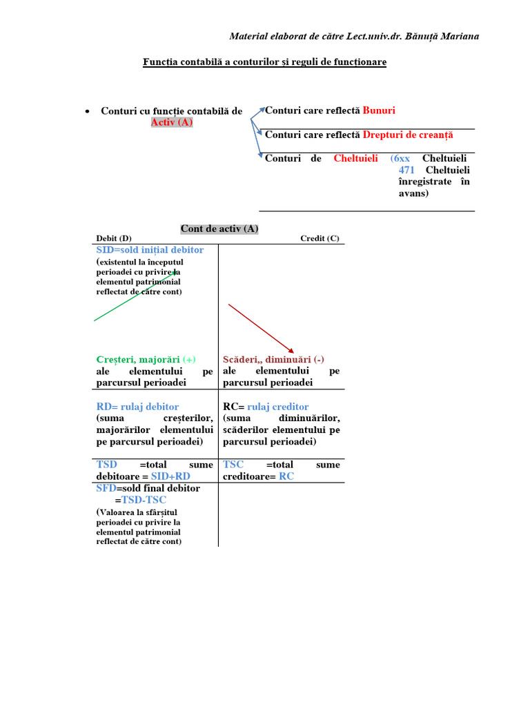 Tipuri de Conturi Și Modul de Functionare de REPETAT | PDF