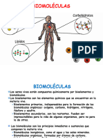 t1 Biomoléculas