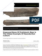 Engraved Bone of Prehistoric Bear Is The Oldest Example of Neanderthal Culture