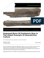 Engraved Bone of Prehistoric Bear is the Oldest Example of Neanderthal Culture