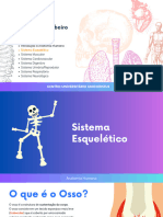 Anatomia I Sistema Esquelético Axial e Apendicular