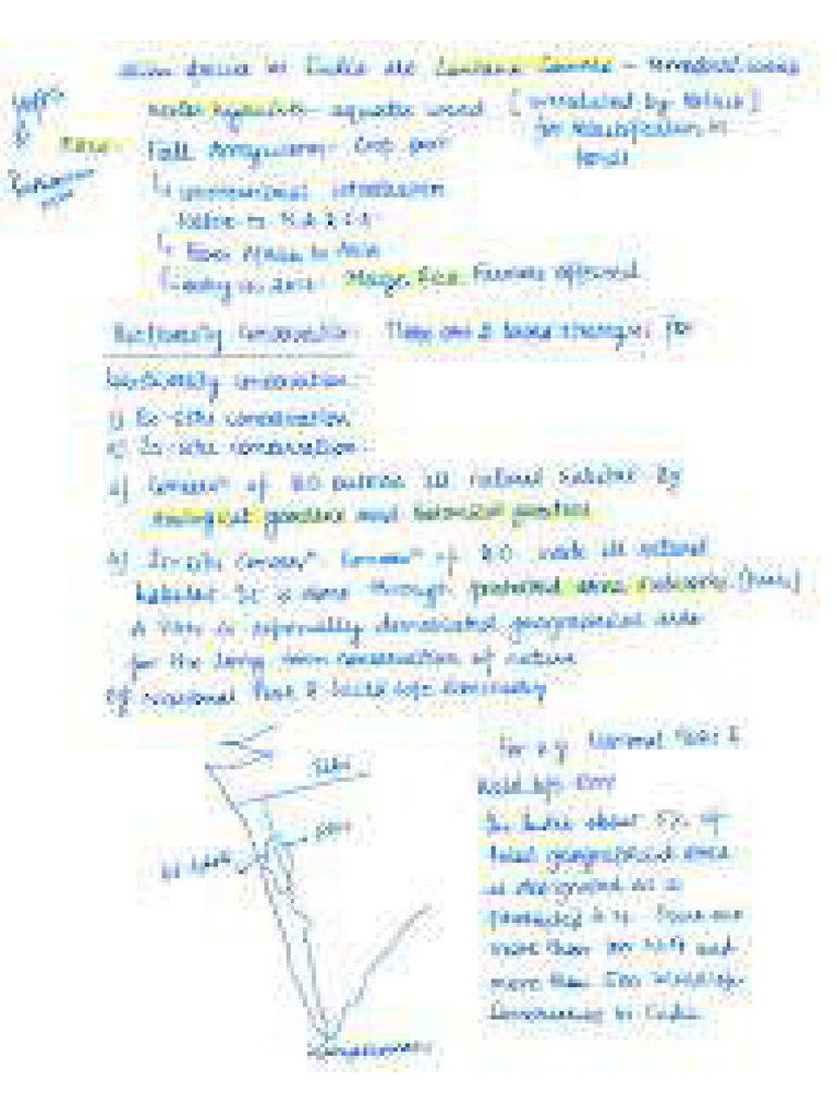 Images | PDF