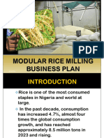 Rice Biz Plan PDF