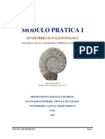 Modulo Pratica